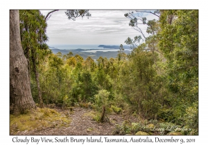 Cloudy Bay View