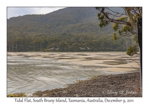 Tidal Flat