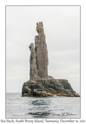 Sea Stack