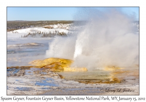 Spasm Geyser