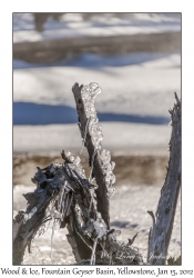 Wood and Ice