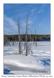 Frozen Scene