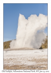 Old Faithful