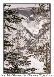 Lower Falls