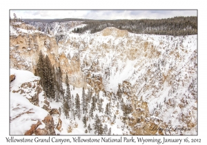Yellowstone Grand Canyon