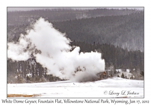 White Dome Geyser