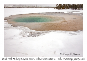 Opal Pool
