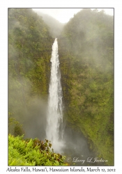 Akaka Falls