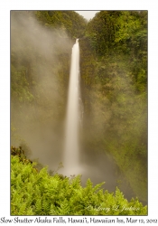 Slow Shutter Akaka Falls