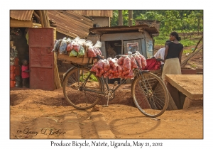 Produce Bicycle