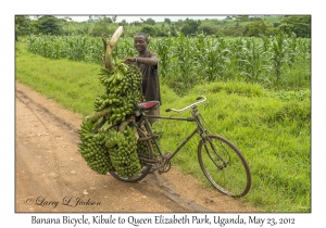 Banana Bicycle