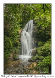 Slow Shutter Waterfall