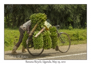 Banana Bicycle