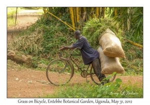 Loaded Bike