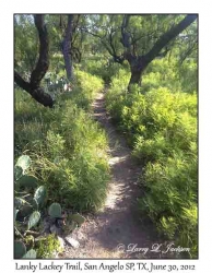 Lanky Lackey Trail