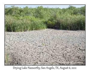 Drying Lake