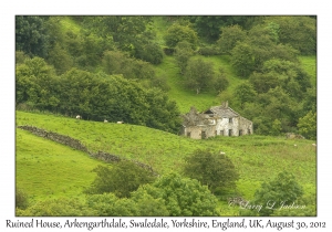 Ruined House