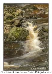 Slow Shutter Stream