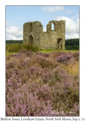 Skelton Tower