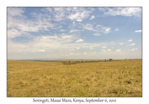 Serengeti