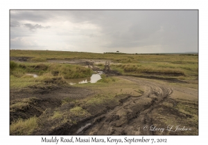 Muddy Road