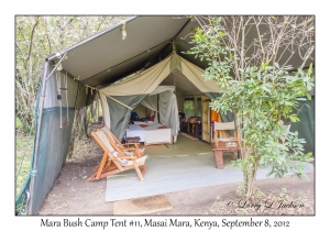 Mara Bush Camp Tent #11