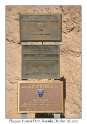 Plaques