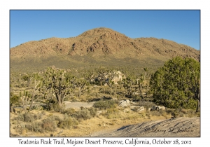 Teutonia Peak Trail