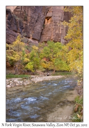 North Fork Virgin River