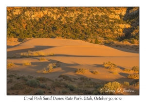 Dunes