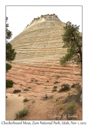 Checkerboard Mesa