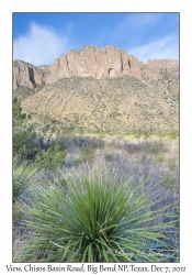 Chisos Basin Road View