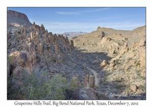 Grapevine Hills Trail