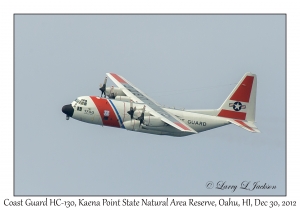 Coast Guard HC-130