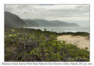 Waianae Coast