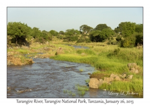 Tarangire River