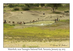 Waterhole