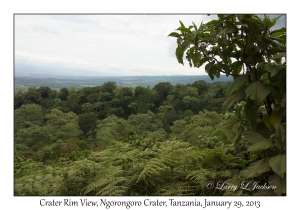 Crater Rim View