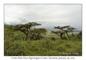 Crater Rim View