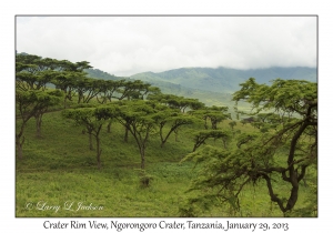 Crater Rim View