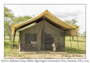 Tent #1, Kuhama Camp