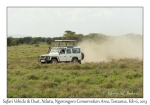 Safari Vehicle & Dust