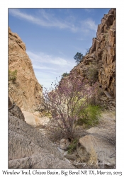 Trail View