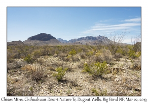 Chisos Mountains