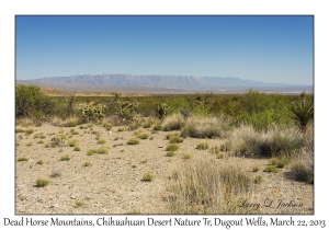 Dead Horse Mountains