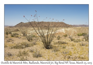 Ocotillo & Maverick Mountain