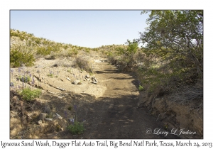 Igneous Sand Wash