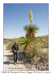 Debbie & Thompson's Yucca