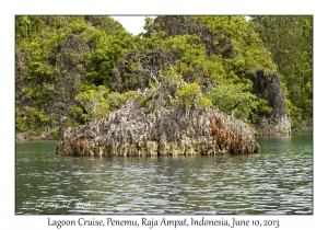 Lagoon Cruise