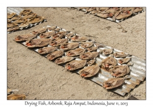 Drying Fish